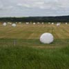 wrapped bales in field