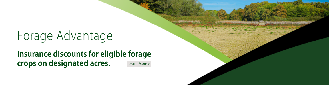 Forage Advantage