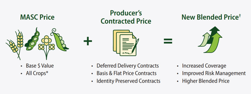 Contract Price Option