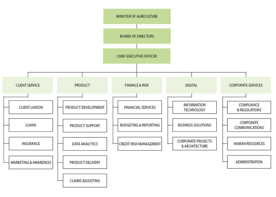 MASC organization chart