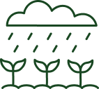 illustration of cloud and rain droplets over plants