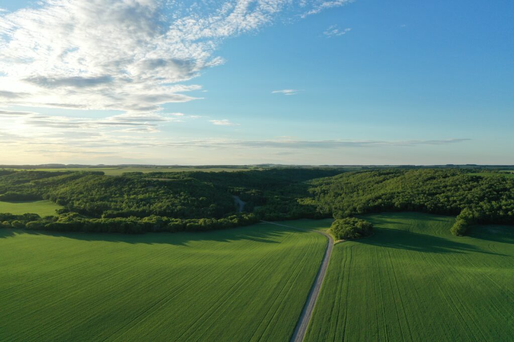 Aerial view of a lush green barley field surrounded by rolling hills and trees under a bright blue sky with scattered clouds.