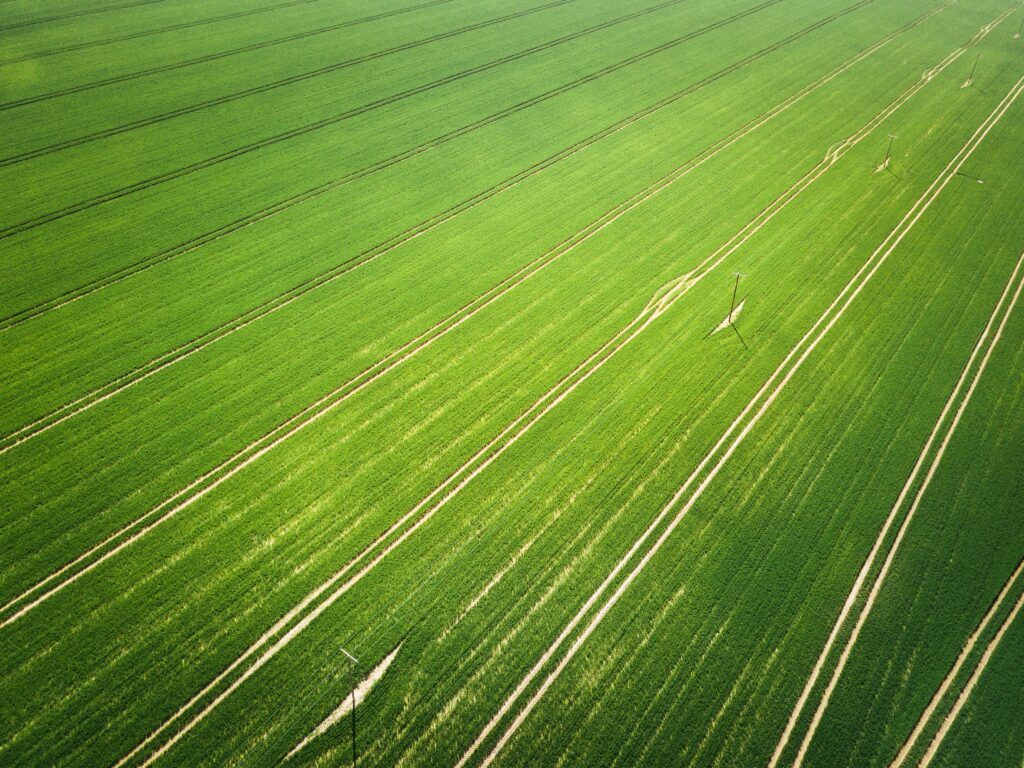 Aerial view of a lush green agricultural field with evenly spaced crop rows and faint tire tracks running diagonally across the landscape.