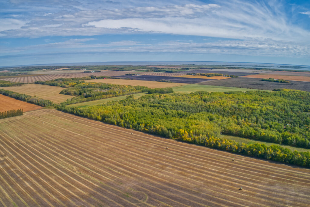 Wide aerial view of farmland featuring alternating fields of brown and green, bordered by dense tree lines under a partly cloudy blue sky.